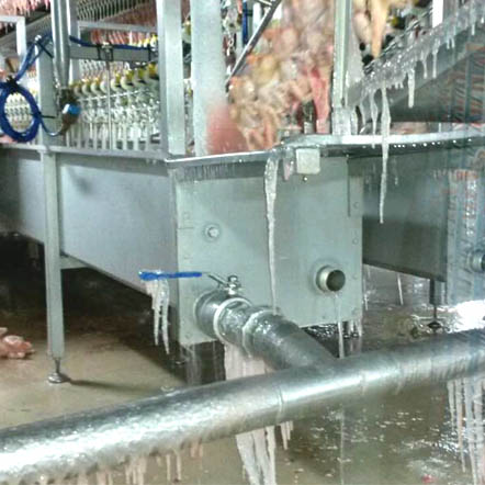 Cold Chain Management